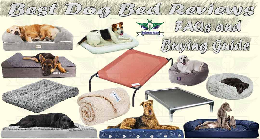 Top 20 Best Dog Beds Review Faqs Buying Guide Of 2020 Best