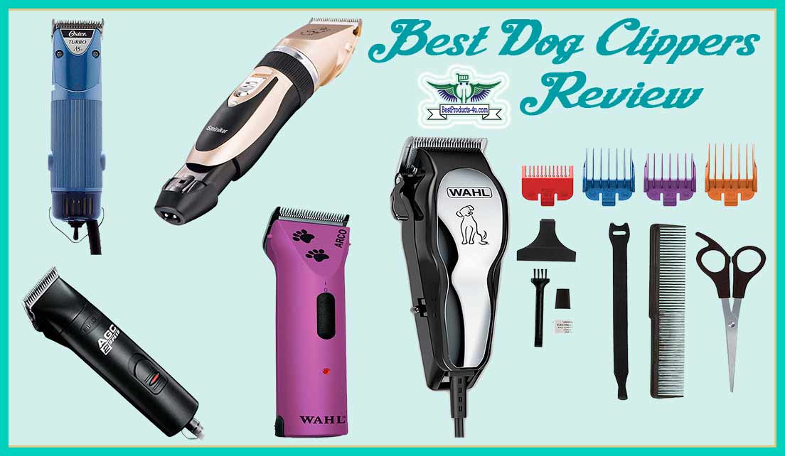 electric dog clippers reviews