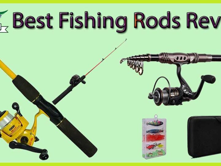5 STAR Rated 10 Best Fishing Rods Review of 2023