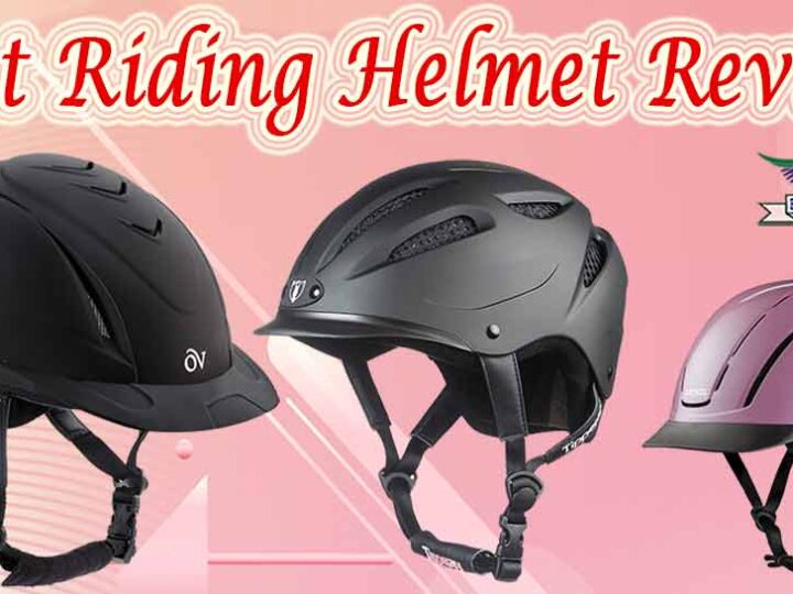 5 STAR Rated 10 Best Riding Helmet Review of 2023